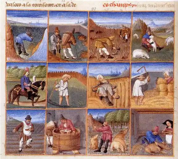 Calendrier des travaux agricoles médiévaux incluant l’entretien des ruches Pietro Di Crescenzi (1233-1321)